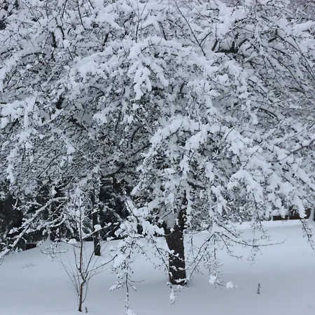 Restaurant De La Dore Hotel