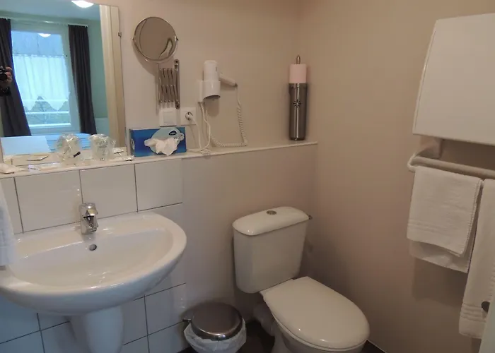 Logis Restaurant De La Dore Hotel Vertolaye