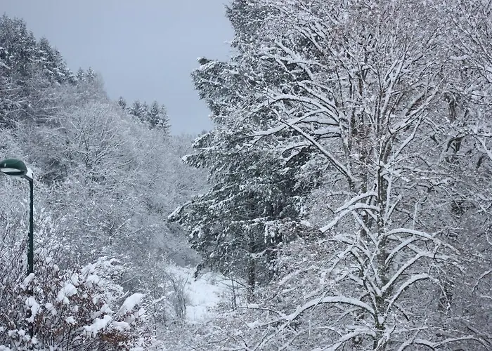 Logis Restaurant De La Dore Hotel Vertolaye